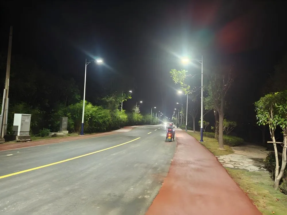 Rural and Remote Areas of solar street light-Yahua lighting.webp Rural and Remote Areas of solar street light-Yahua lighting.webp